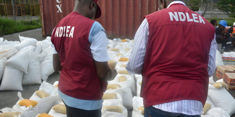 NDLEA arrests 230 suspects, seizes large drug haul in Kano