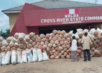 360 Bags of Marijuana Seized, Wife, Husband in NDLEA Custody