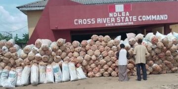 360 Bags of Marijuana Seized, Wife, Husband in NDLEA Custody