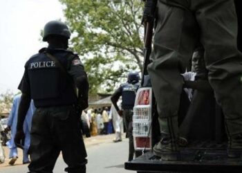 Police Kill Seven Kidnappers, Arrest Five Robbery Suspects in Delta, Kaduna