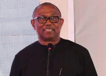 Presidency Dismisses Peter Obi’s Economic Critique as Power Grab Without Agenda