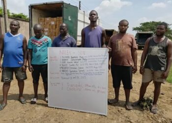 NDLEA Busts Lagos Opioids Cartel, Seizes N6.7 Billion Worth of Drugs, Arrests 6