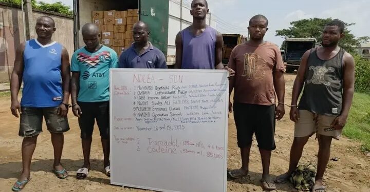 NDLEA Busts Lagos Opioids Cartel, Seizes N6.7 Billion Worth of Drugs, Arrests 6