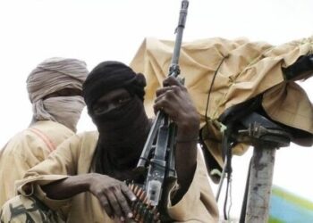Bandits Abduct Pregnant Women, Farmers in Niger State