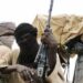 Bandits Abduct Pregnant Women, Farmers in Niger State