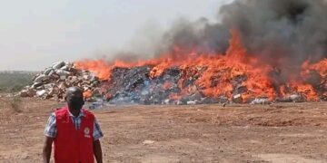 NAFDAC destroys 618 tonnes of fake, substandard products worth ₦10.19bn in Kano