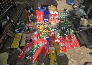 Police Arrest Woman for Producing Adulterated Dry Gin in Delta 