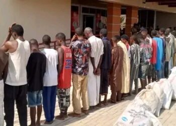 NDLEA seizes 1,396kg of drugs, arrests 150 suspects in Adamawa