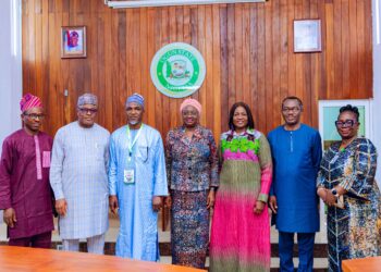 NMA President Commends Ogun on Healthcare Delivery, Urges Doctor Salary Review