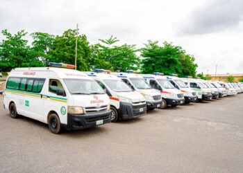 Freedom of Speech Is Not Freedom to Lie: The Truth Behind the Anthony Joshua Incident