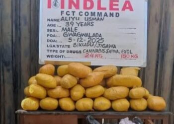 NDLEA Seizes 3.8m Tramadol Pills in Delta, Other States