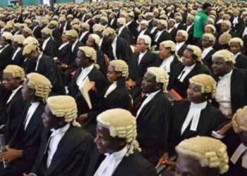 Senate Moves to Make Two-Year Pupillage Compulsory for New Lawyers