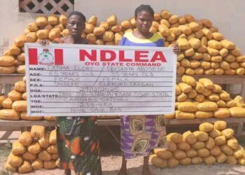 Ibadan Drug Queen, 22 Indians Arrested as NDLEA Intercepts 31.5kg Cocaine, Tons of Illicit Drugs