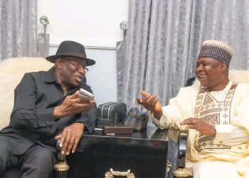 Prioritize National Interest, Party Unity, Jonathan Urges PDP Leaders 