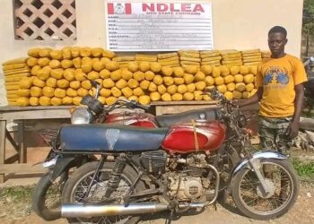 80-Year-Old Ex-Convict Arrested Again as NDLEA Uncovers Drugs Hidden in Mannequins