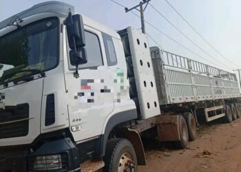 Ogun Police Nab Eight Robbery Suspects, Recover Hijacked Truck, Cement, Gun