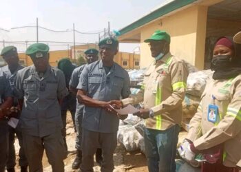 Customs intercept smuggled cars, fuel, donkey meat worth N229m in Bauchi