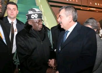 Tinubu Meets Erdogan in Ankara as State Visit Begins
