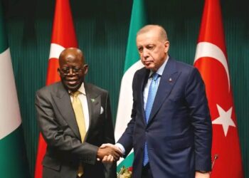 Nigeria, Türkiye Set $5bn Trade Target as Tinubu Visits Ankara