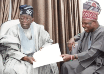 2027: Tinubu deserves second term, rotation is non negotiable, Amosun insists