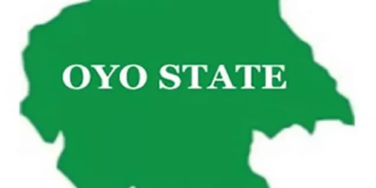 Hunter allegedly kills colleague during hunting expedition in Oyo