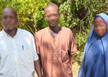 Army Neutralises Five Terrorists, Rescues Three Hostages in Borno