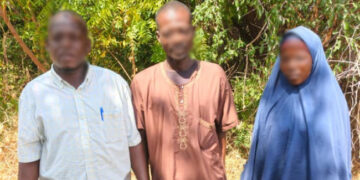 Army Neutralises Five Terrorists, Rescues Three Hostages in Borno