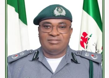 Customs foil wildlife trafficking, rescue four live pangolins in Ogun