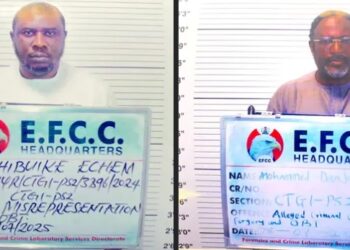 N5bn contract scam allegation lands NEDC coordinator, accomplice in prison