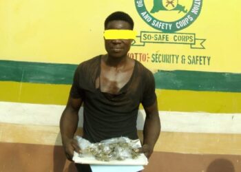 So-Safe Corps nabs 22-year-old cannabis dealer in Ogun