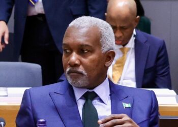 Nigeria Pushes Gas-to-Power, Trade Deals at Abu Dhabi Sustainability Week