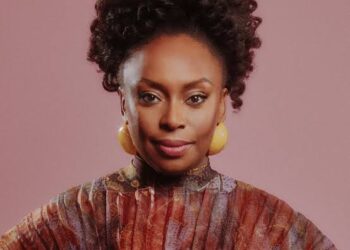 Alleged Medical Negligence. Lagos Govt Begins Investigation Over Adichie’s Son’s Death