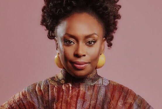 Alleged Medical Negligence. Lagos Govt Begins Investigation Over Adichie’s Son’s Death