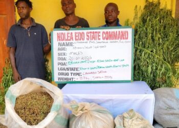 46 Arrested, 6,439kg of Drugs Seized as NDLEA Cracks Down on Traffickers