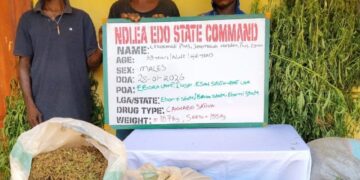 46 Arrested, 6,439kg of Drugs Seized as NDLEA Cracks Down on Traffickers