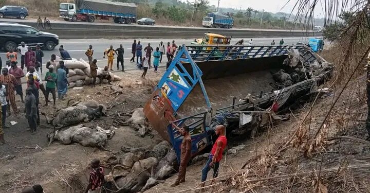 Truck Crash Claims Six Lives, Injures 23 on Lagos Ibadan Expressway