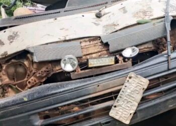 11 Die as Tree Crushes Vehicles at Enugu Market