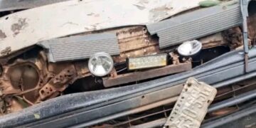 11 Die as Tree Crushes Vehicles at Enugu Market