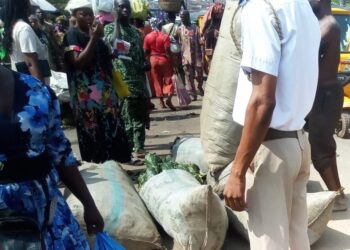 Oyo govt enforces environmental laws, prosecutes 19 illegal scavengers in Ibadan
