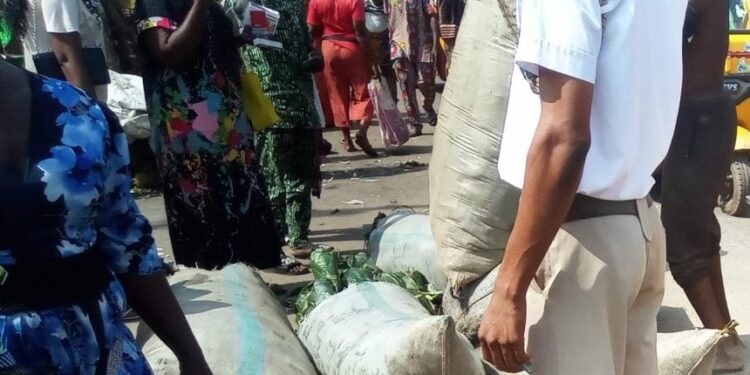 Oyo govt enforces environmental laws, prosecutes 19 illegal scavengers in Ibadan