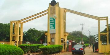 FCE Abeokuta at 50, Alumni Laud Provost, Reaffirm Commitment to Institution