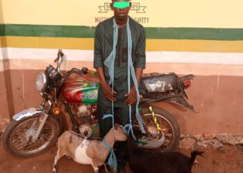 Goat Thief Nabbed at Child’s Naming Ceremony in Ogun