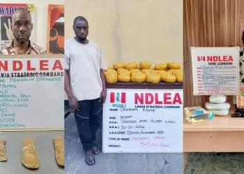 NDLEA nabs Brazil based businessman with cocaine at Lagos airport