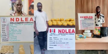 NDLEA nabs Brazil based businessman with cocaine at Lagos airport