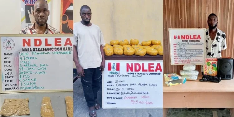 NDLEA nabs Brazil based businessman with cocaine at Lagos airport