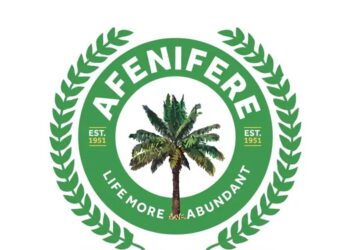 Don’t Let Fear of State Police Abuse Worsen Kidnapping Crisis, Afenifere Warns