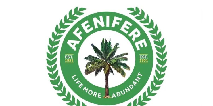 Don’t Let Fear of State Police Abuse Worsen Kidnapping Crisis, Afenifere Warns
