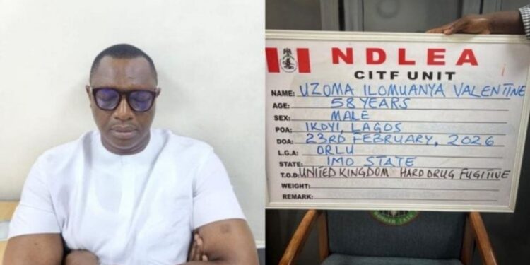NDLEA Arrests UK-Wanted Drug Lord Uzoma Ilomuanya After 15 Years on the Run