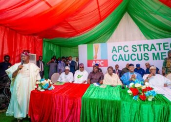 2027: Senator Adeola appreciates Tinubu, APC leaders over consensus emergence