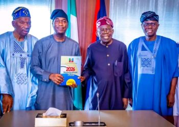 Tinubu backs Hamzat’s 2027 Lagos governorship bid